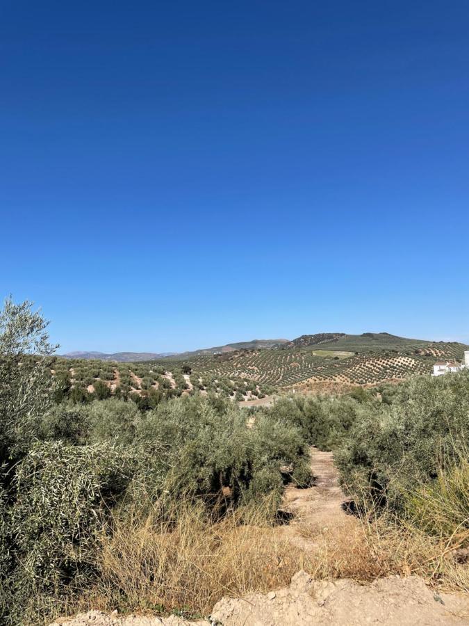 Lafrenchtouch - Escapada Rural En Una Coqueta Casa Вильянуэва-де-Тапиа Экстерьер фото